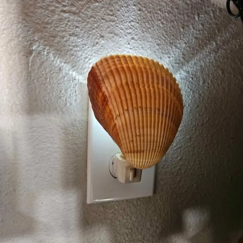 Seashell Night Lights Set - Real Shell and Decorative Shell